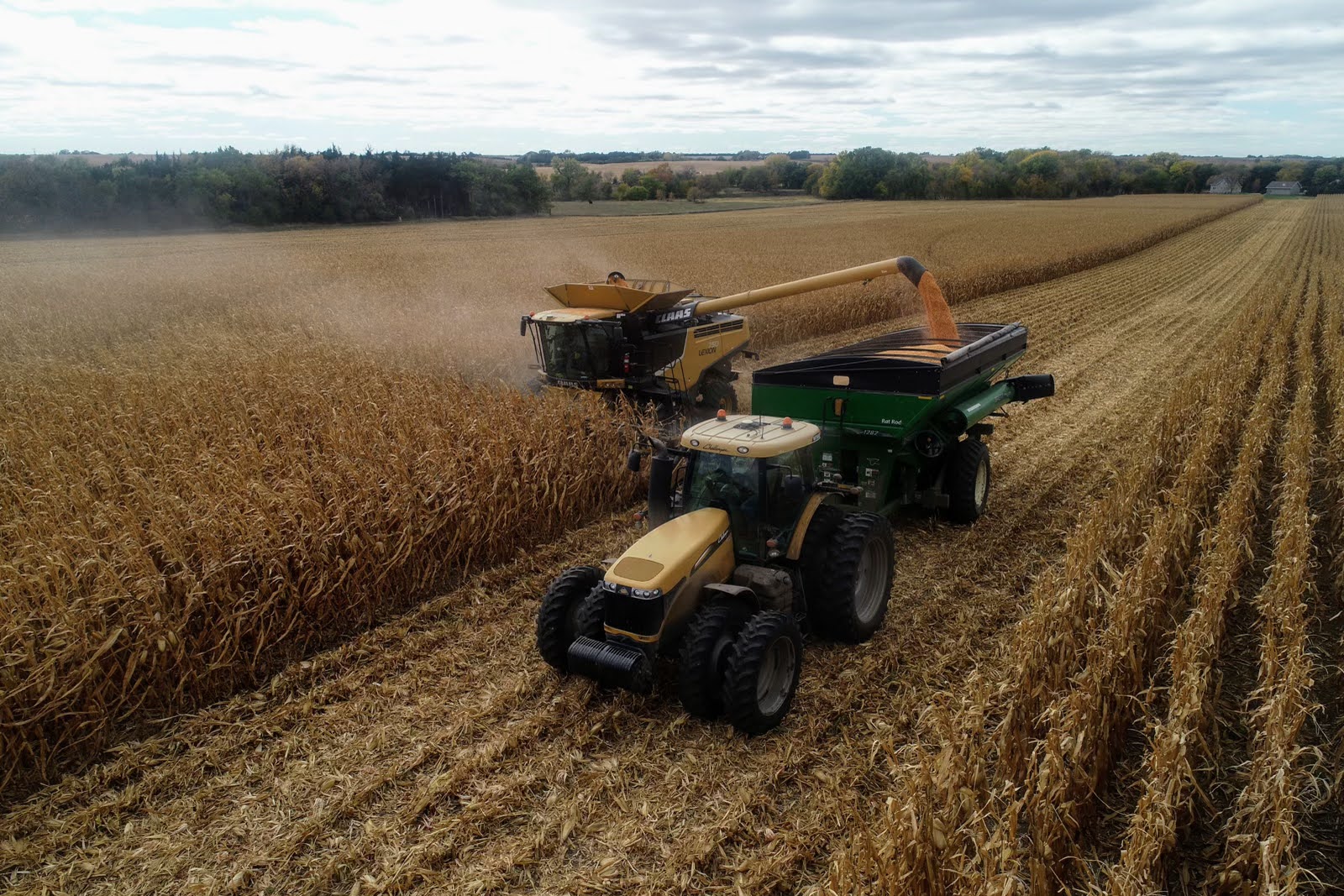 Combine unloading corn into a grain cart during the 2021 harvest.